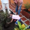 coopehonda - Día del Árbol